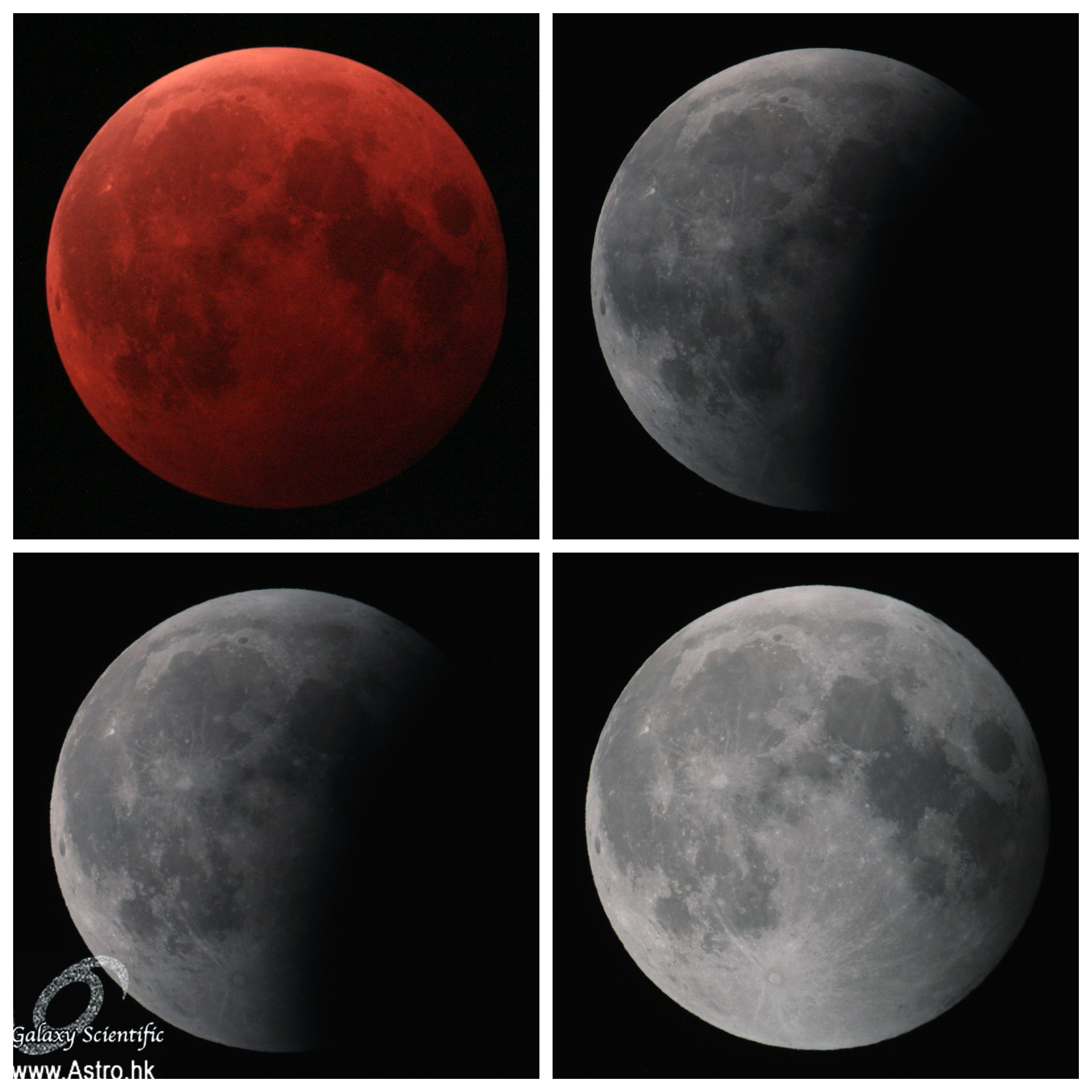 2014-10-08 Lunar Eclipse.JPG