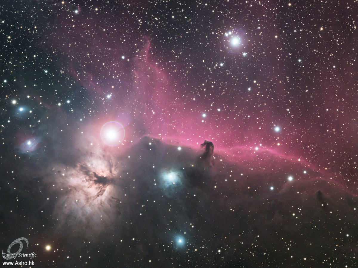 Horsehead 01.JPG