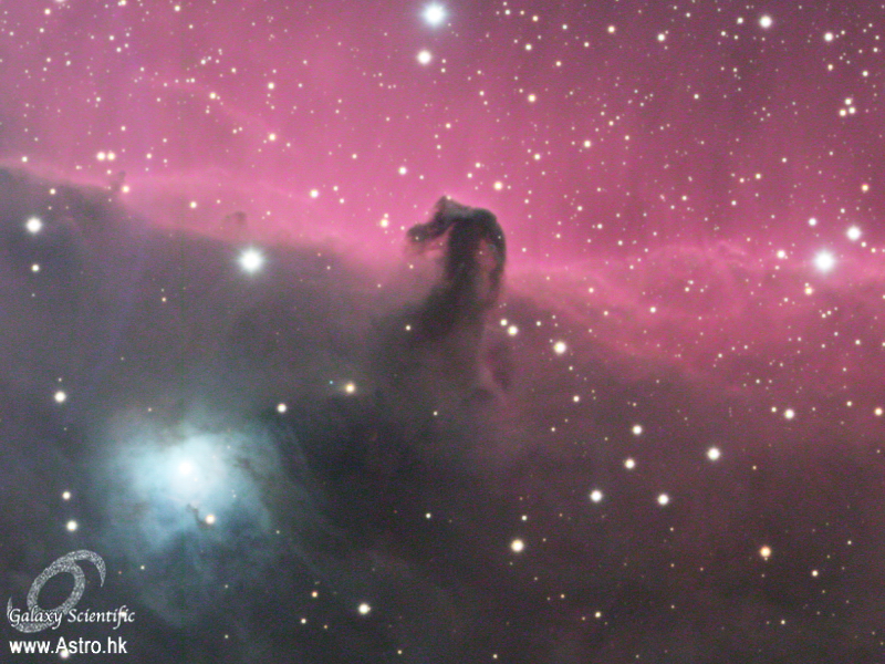 Horsehead 02.JPG