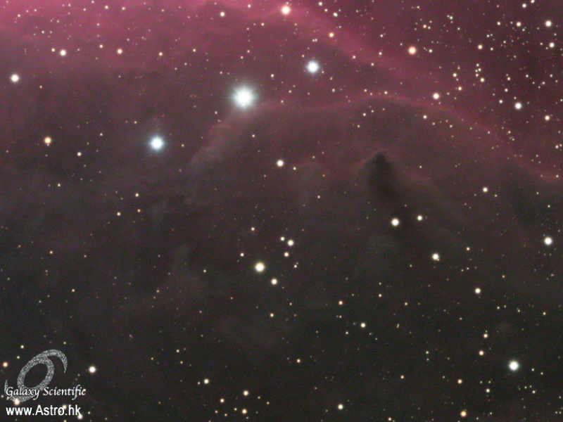 Horsehead 04.JPG