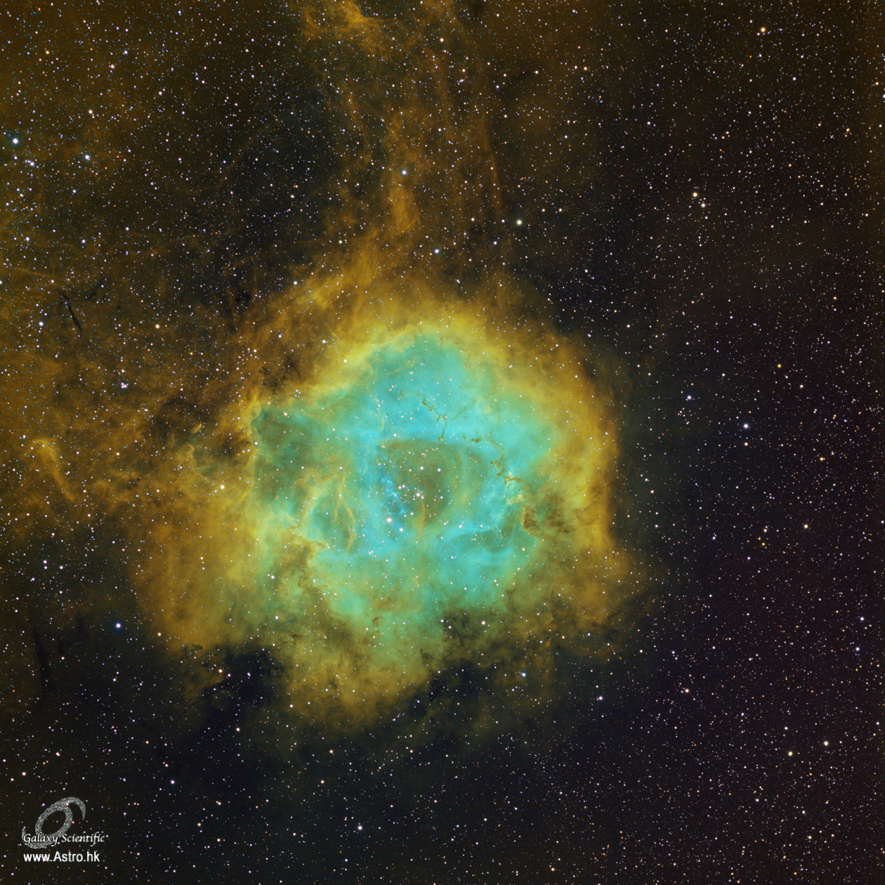 Rosette Hubble Palette r1.JPG