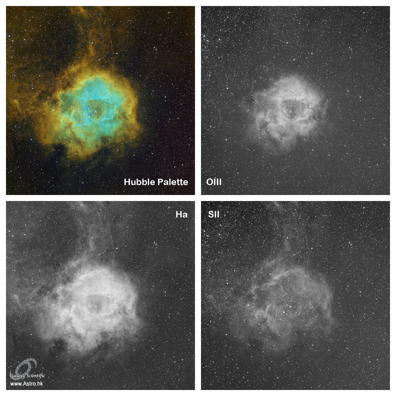 Rosette Hubble Palette v1.JPG