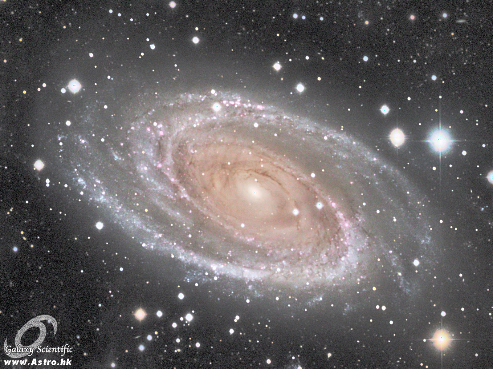 M81 M82 r1 c1.JPG