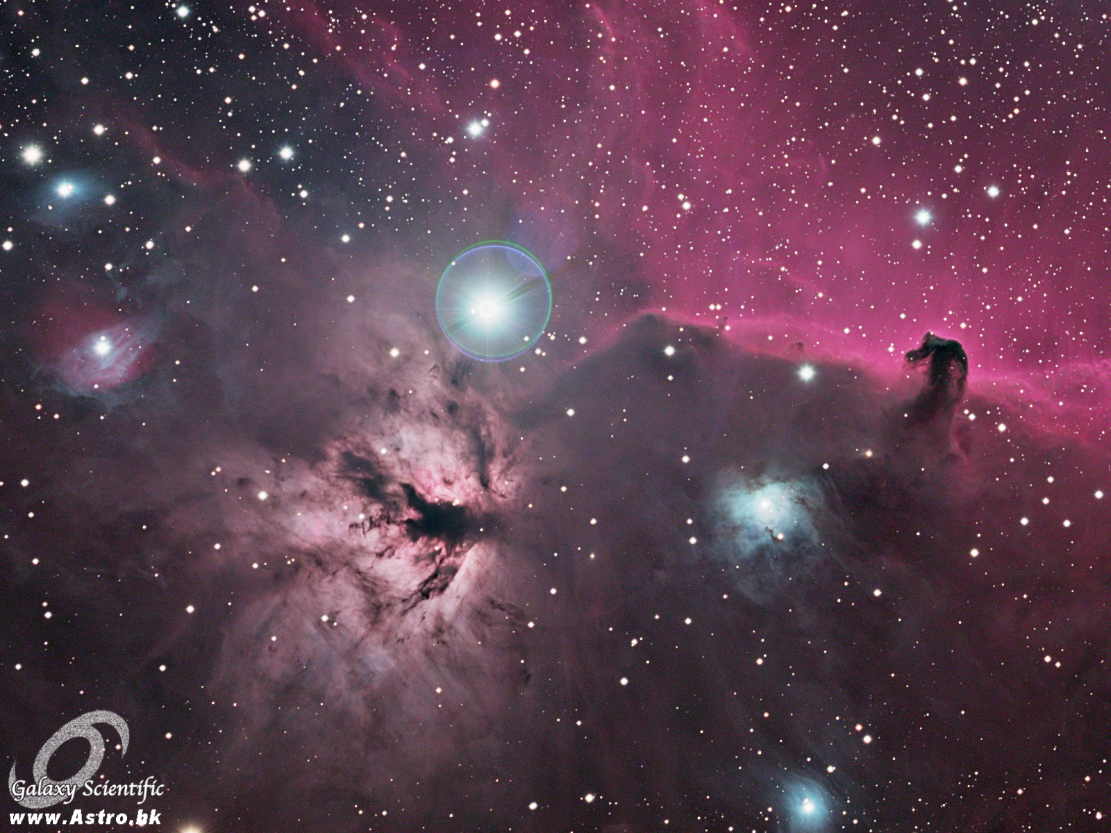 Orion Mosaic LRGBSHO I c2.JPG