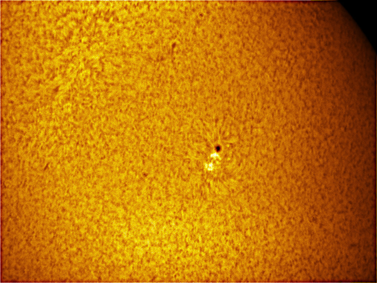 Sun_24-5-2010_25X.jpg