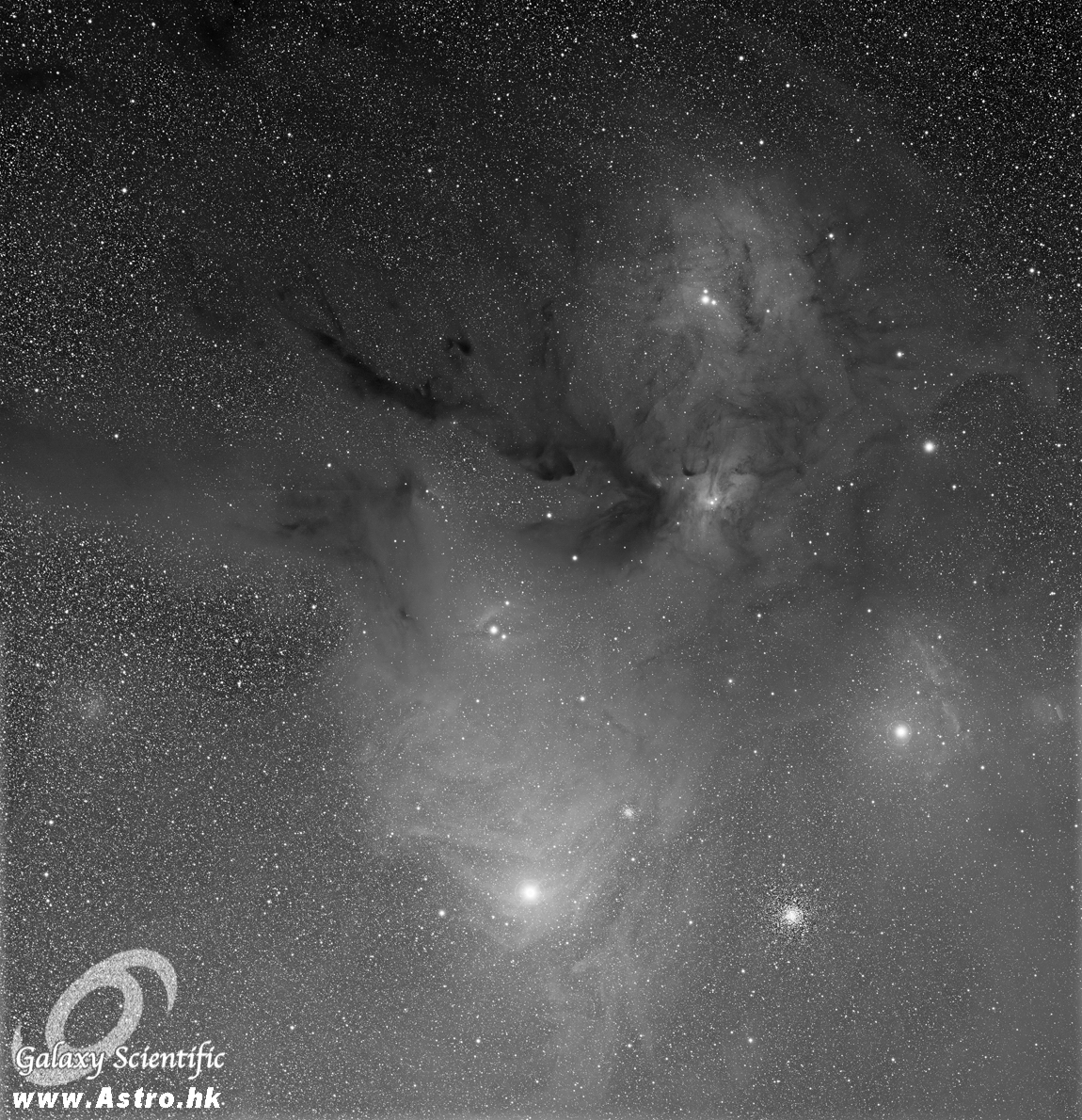 Rho_Ophiuchi II r1.JPG