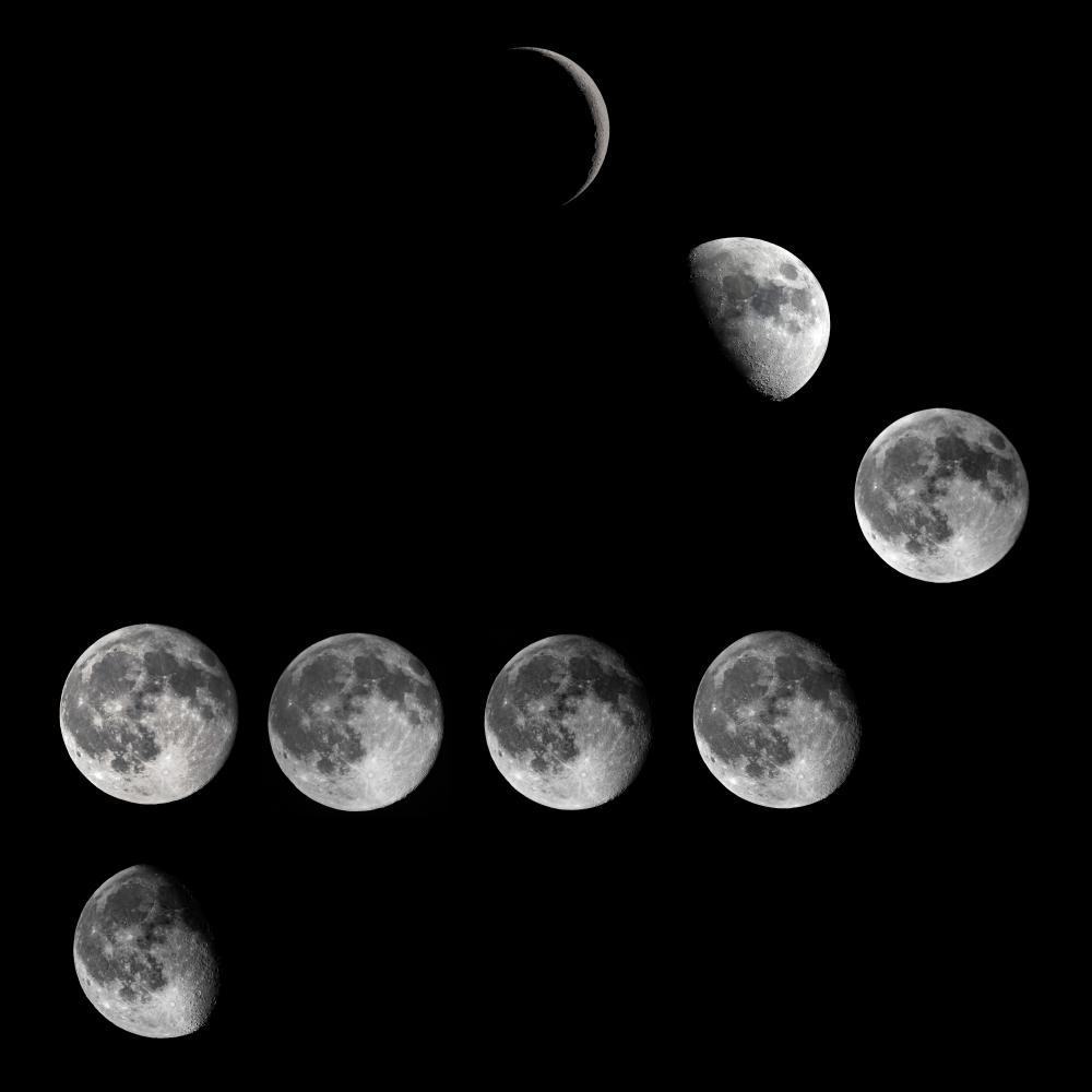Moon+Phases+Project+plate_convert_20150609161740.jpg