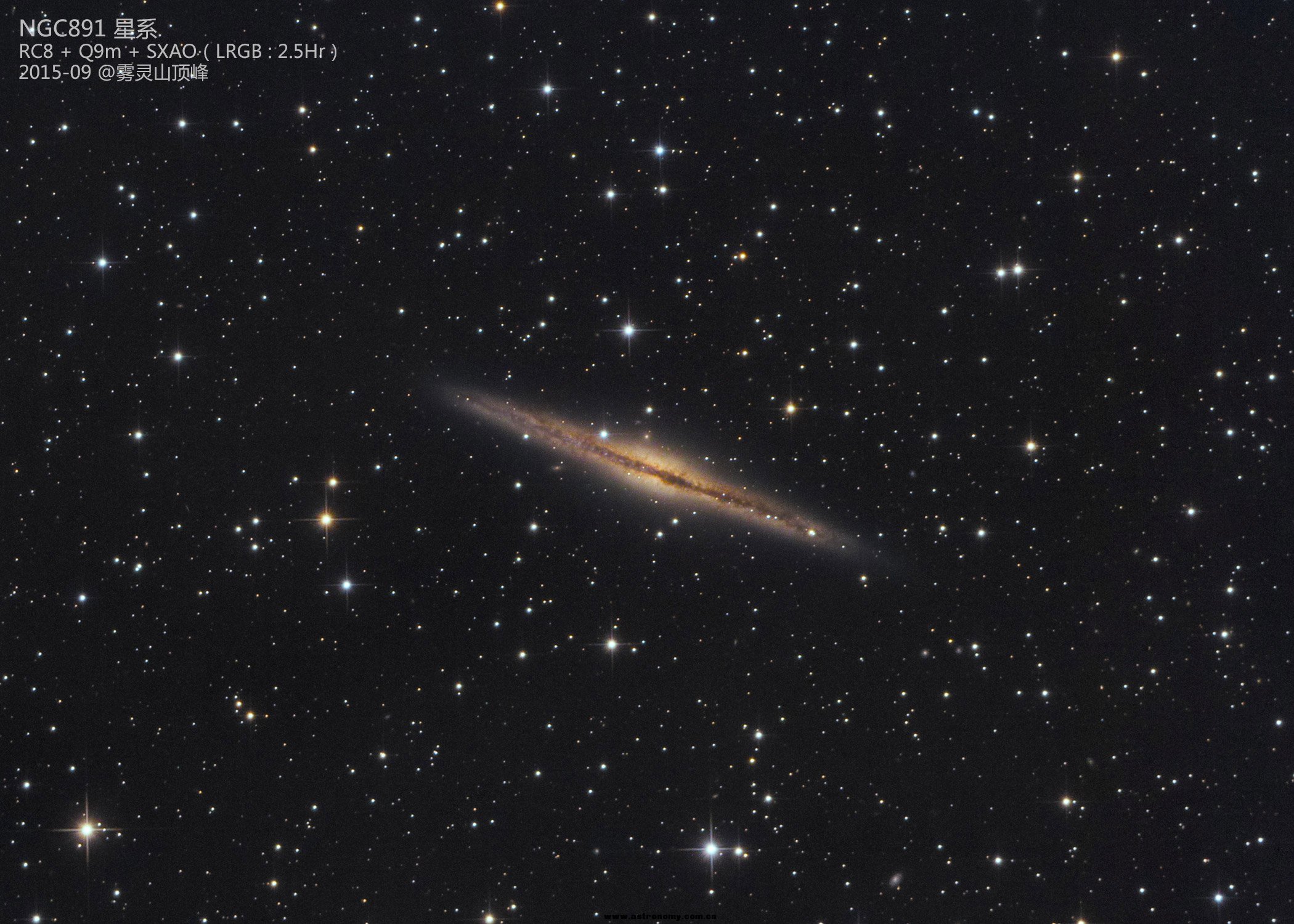 NGC891 2.5h LRGB.jpg