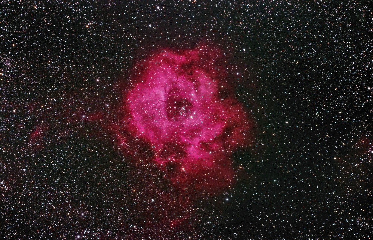 rose00001.jpg