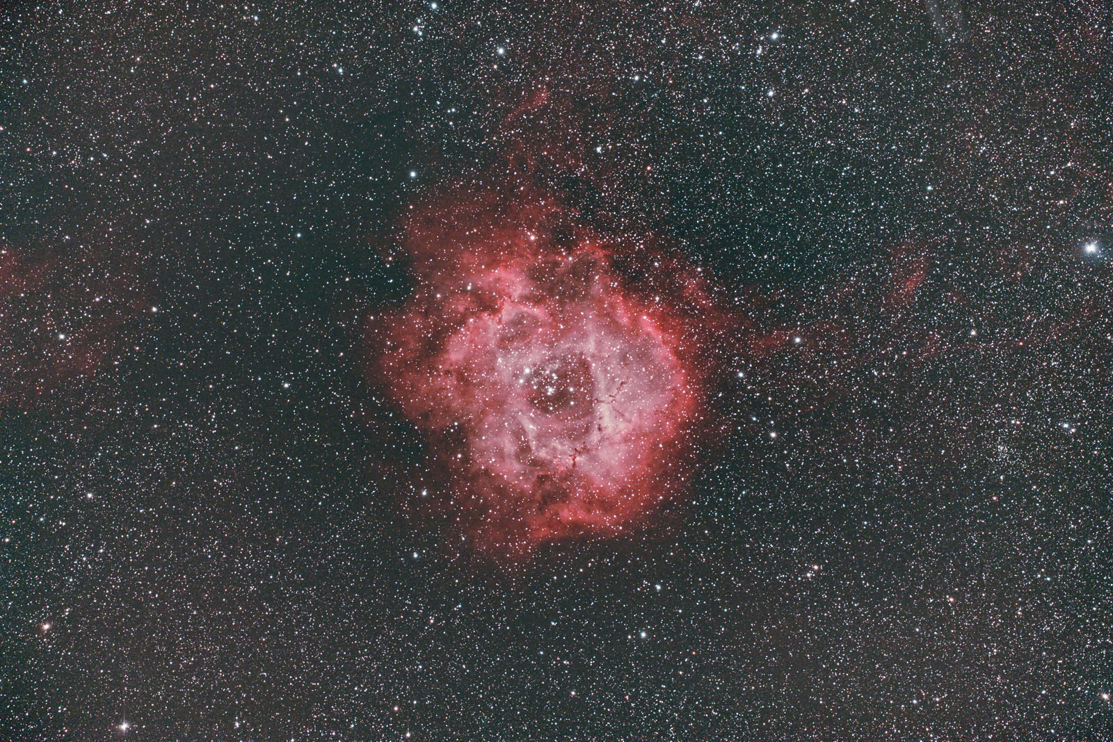 Rosette_1600.jpg