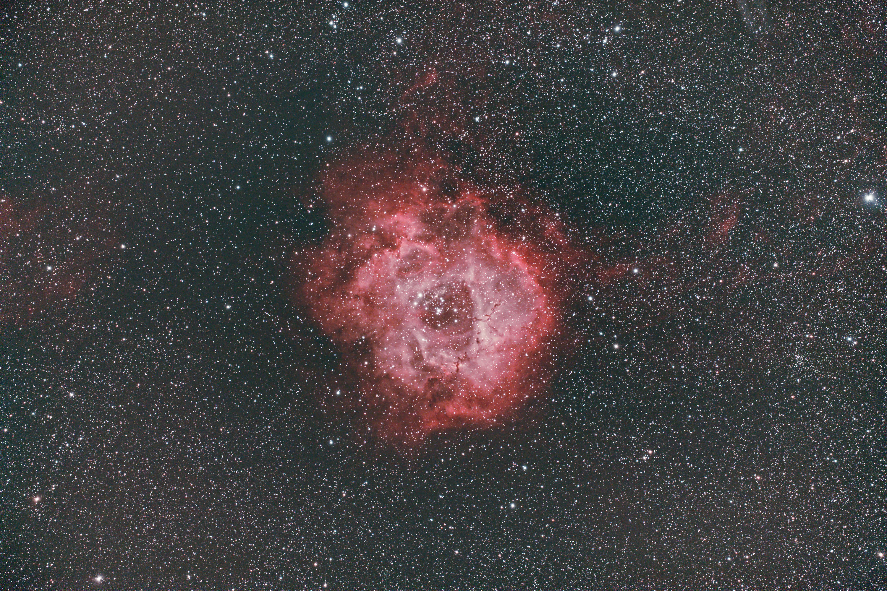 Rosette_3000.jpg