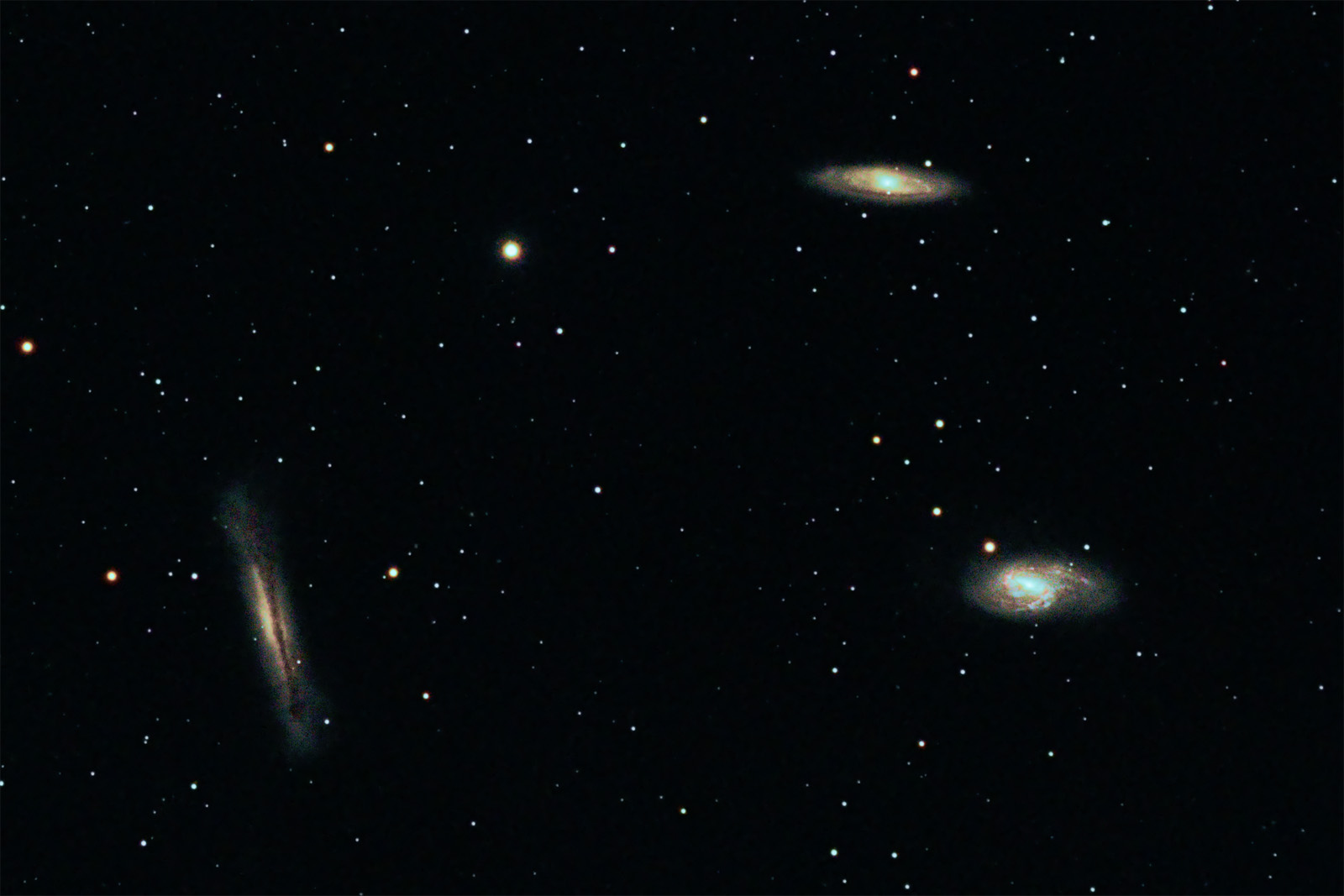 Leo Triplet_ver4_crop_1600.jpg