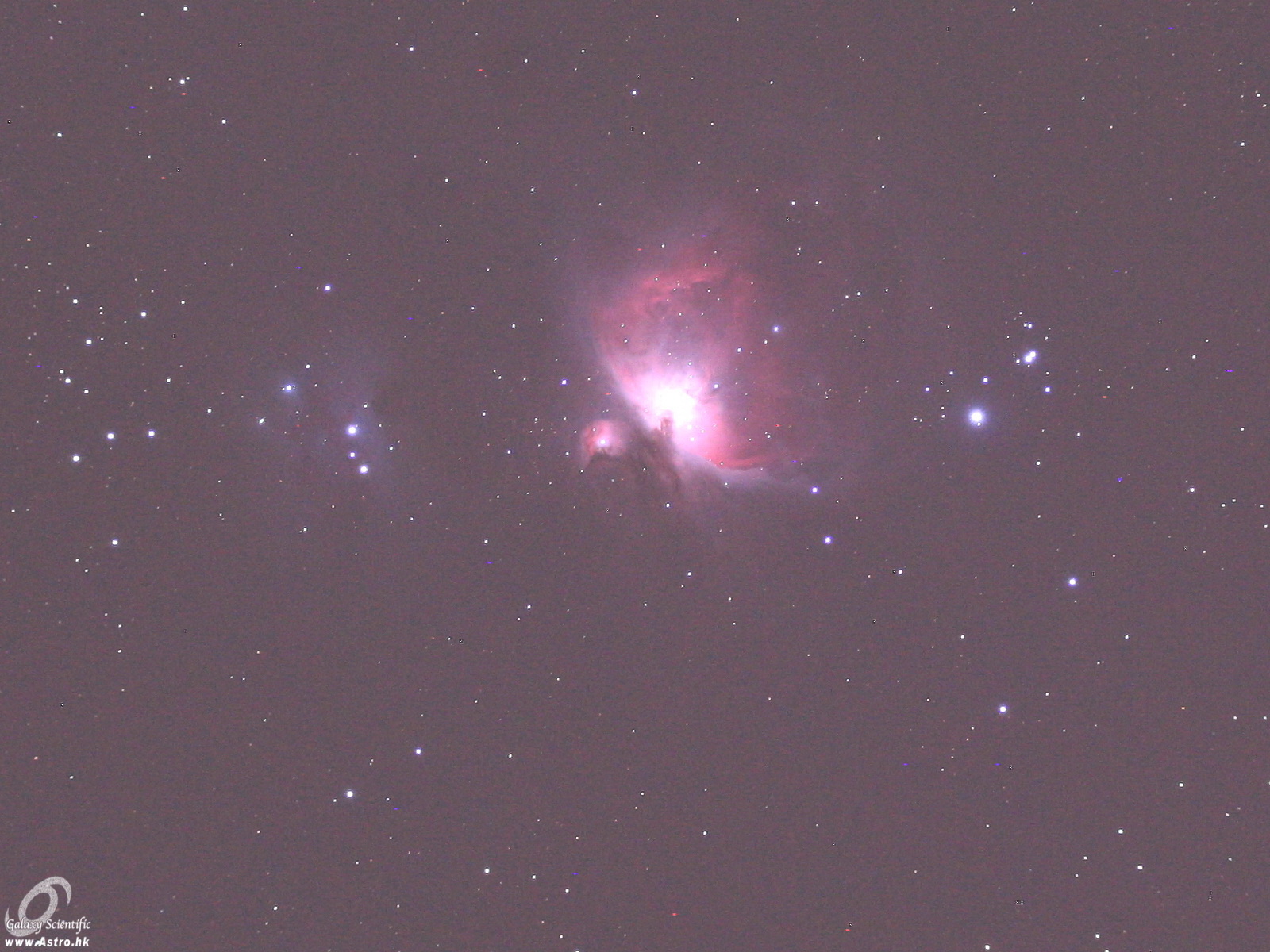 M42 Crop.JPG