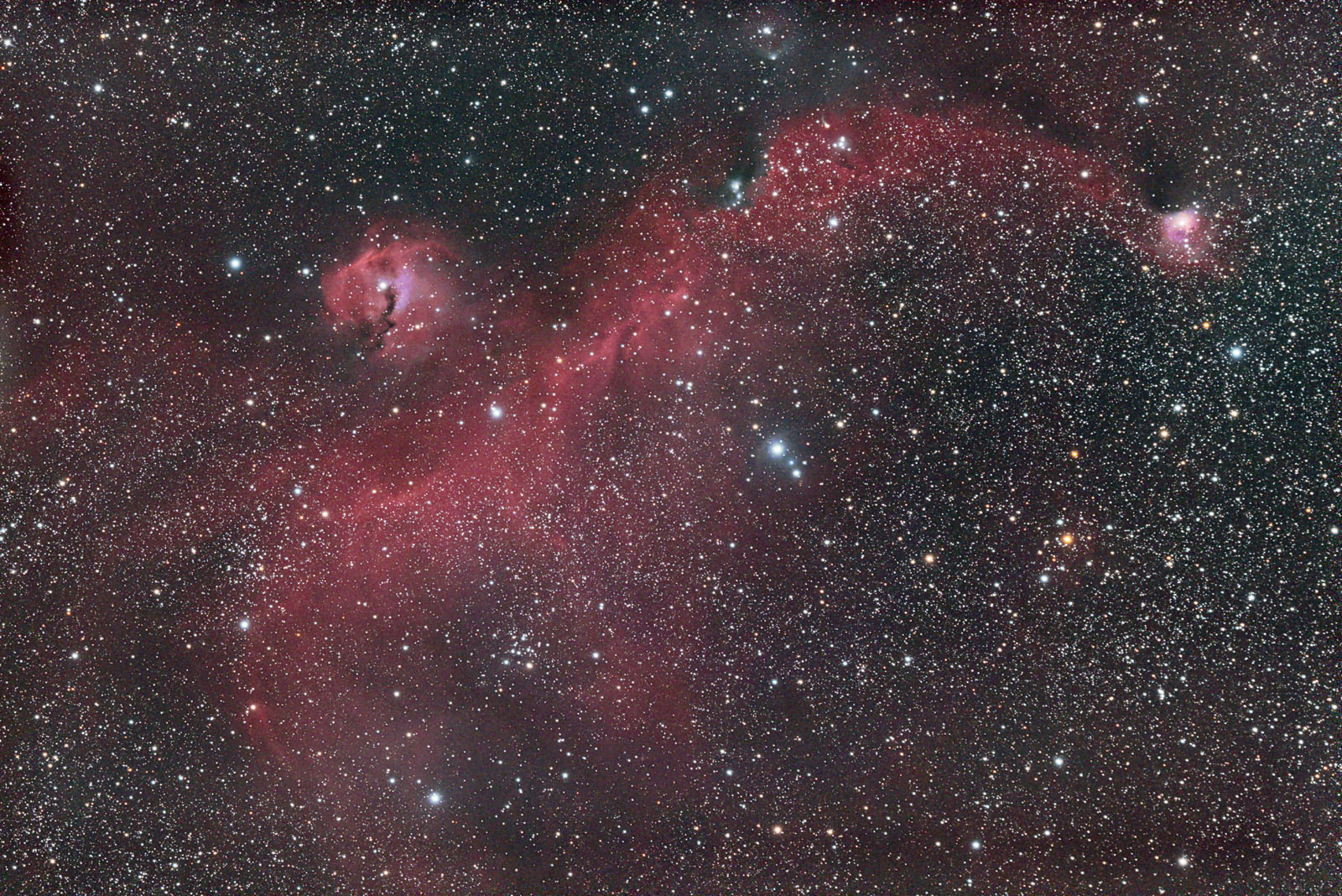 Seagull Nebula_1600.jpg