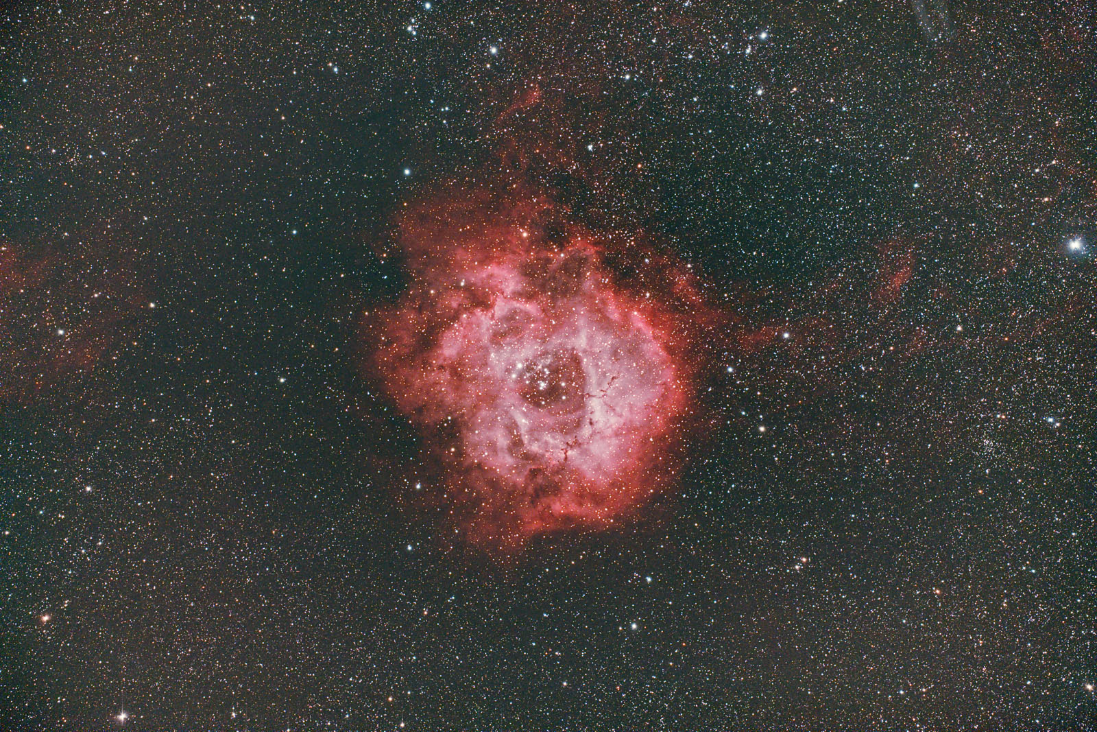 Rosette_light_BINNING_1_integration_ABE_ABE_reprocess_1600.jpg