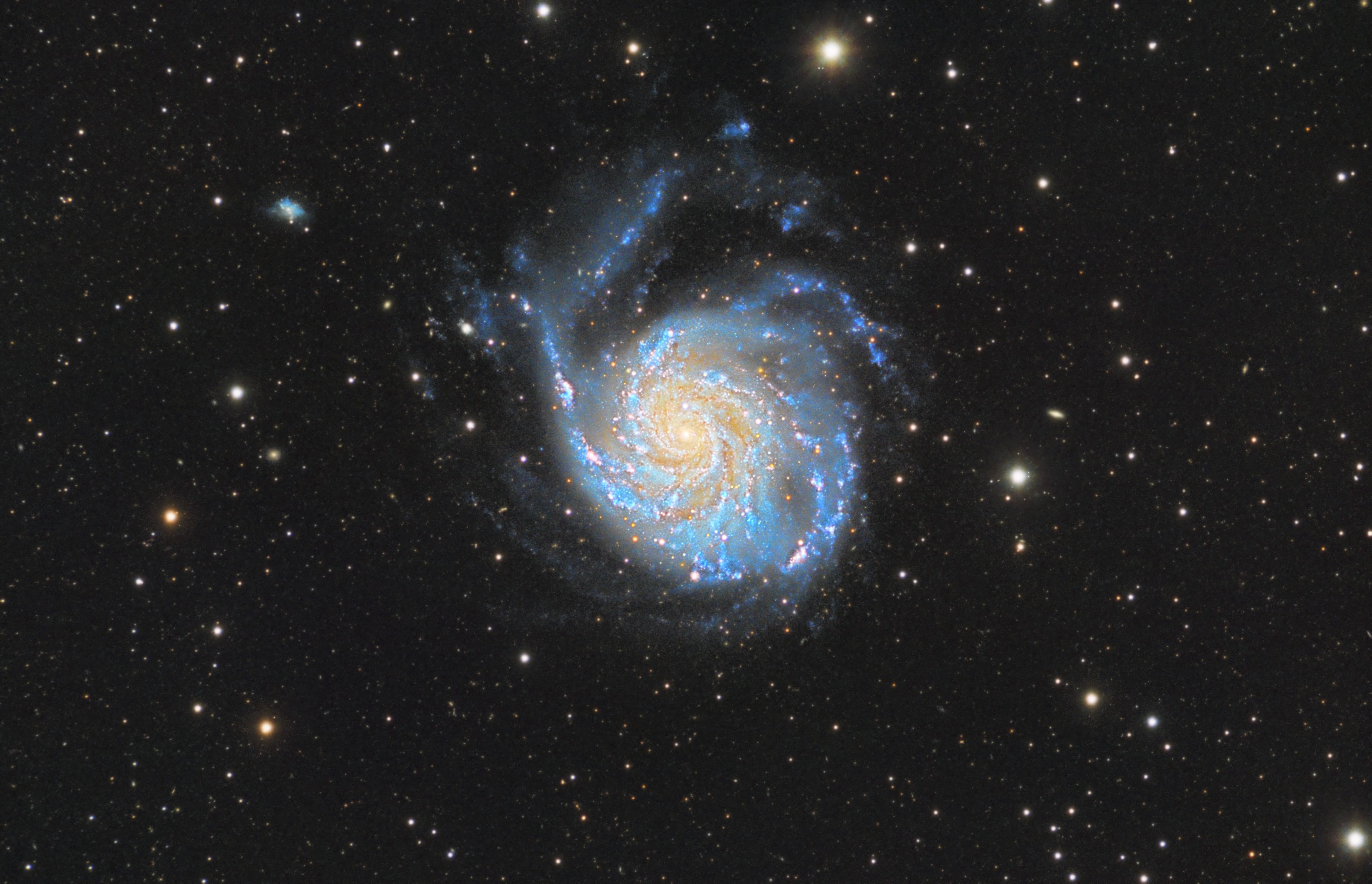 M101_HB_05_DBE_2.jpg