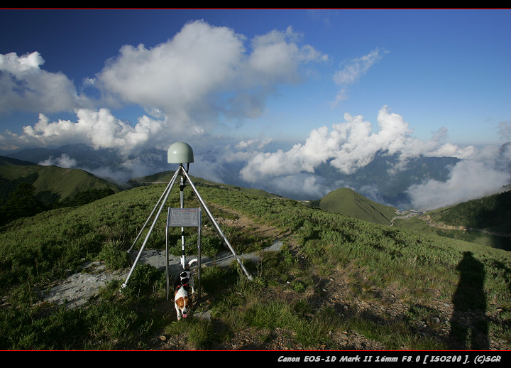 MD6X0353-1.jpg