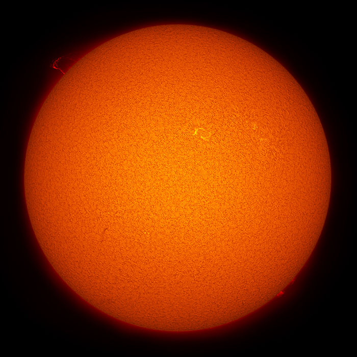 LS75Fmosaic2.jpg