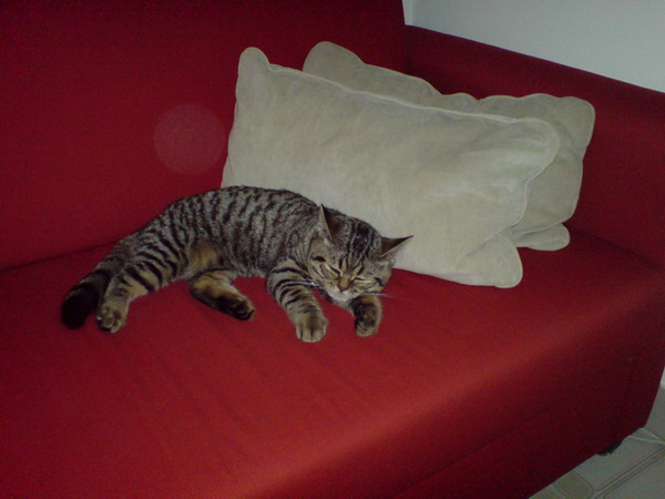 DSC00013_resize.JPG