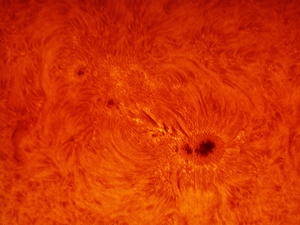 sunspot11009_2.jpg