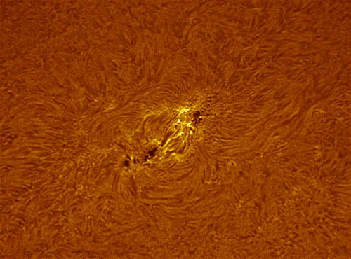 AR11040(12Jan2010).jpg