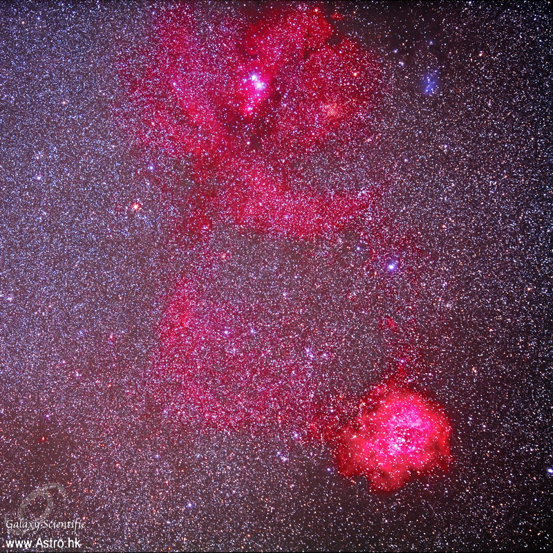 Rosette stacked ver2_resize.JPG