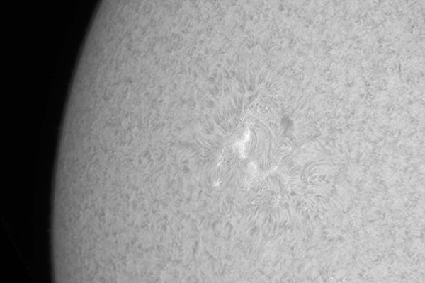 SunspotCorpse(13May2009).jpg