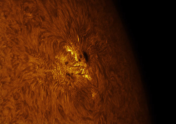 ActiveRegion11029(29Nov2009).jpg