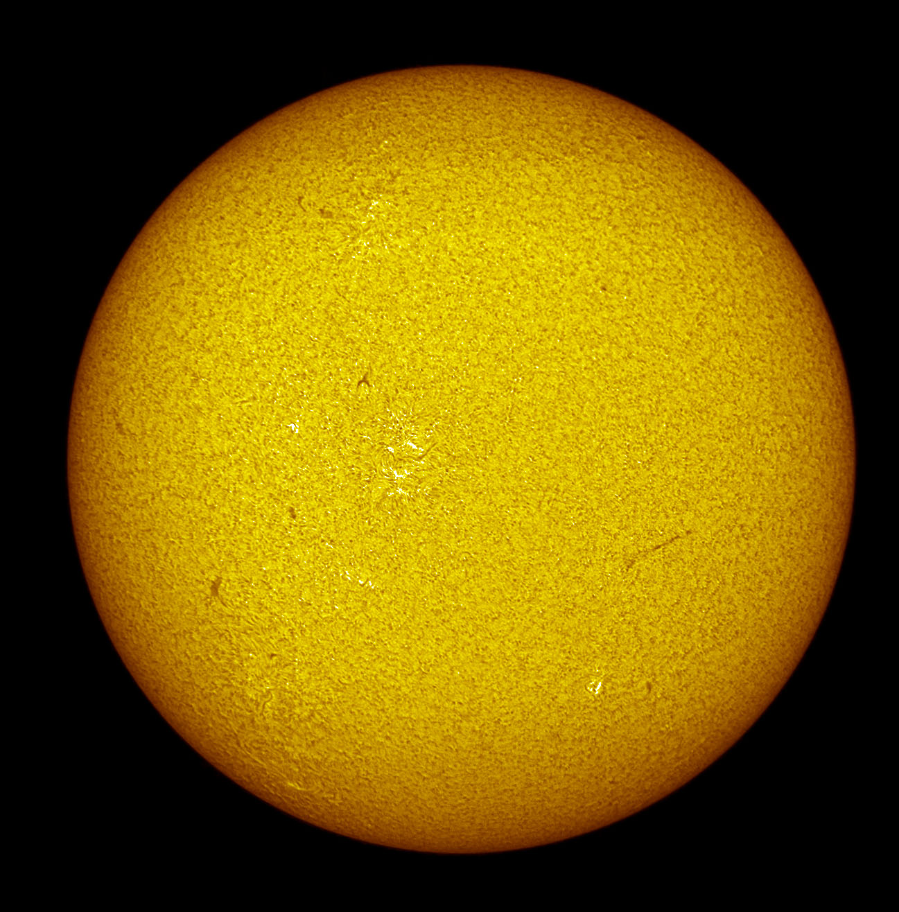 LS80T0035 10-12-23 13-50-57_4_ps.jpg