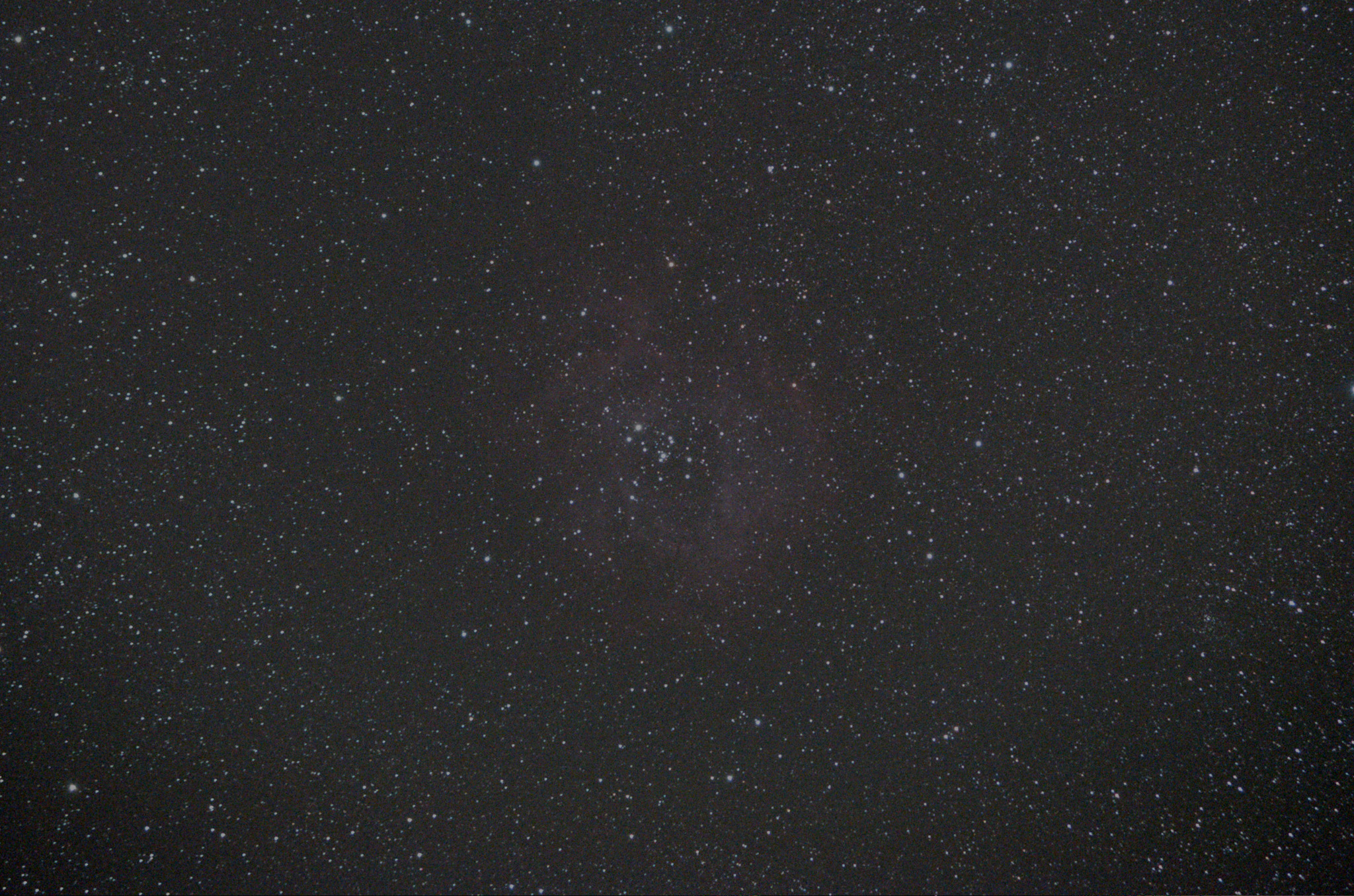 20101229-Rose-17.25min-D300s-SET01-Resize.jpg