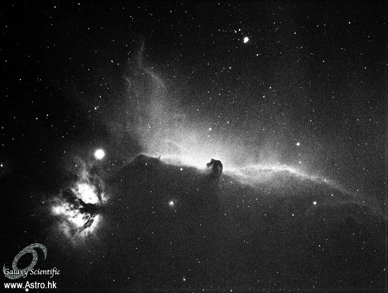 Horsehead 1800s Ha001 ver1.JPG