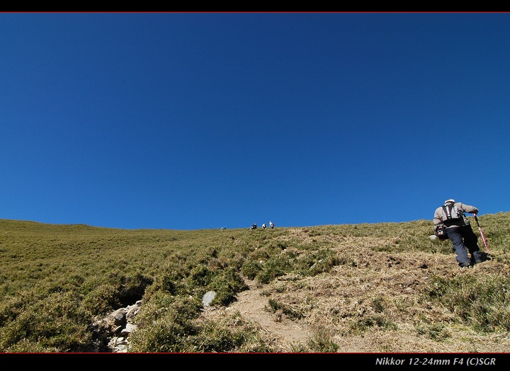DSC_2246.JPG