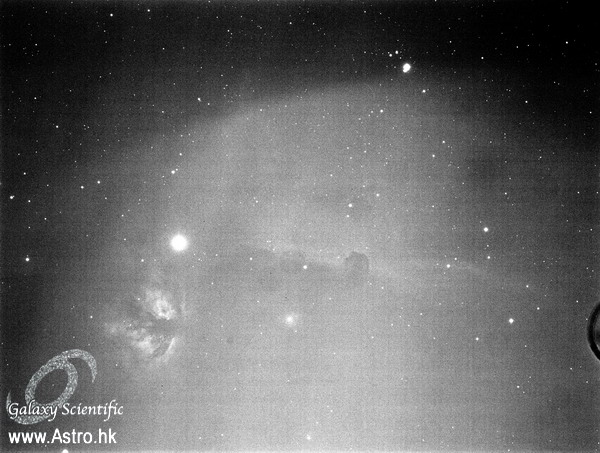 Horsehead resized.JPG