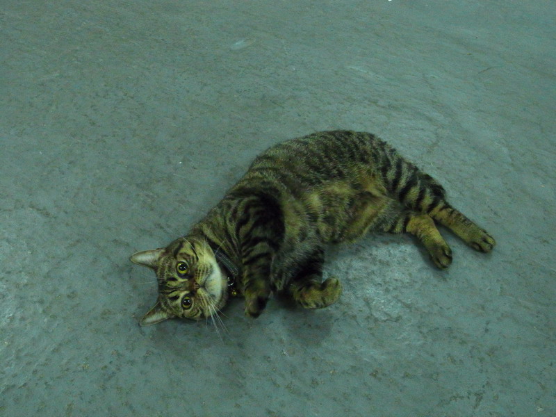_0016478.JPG