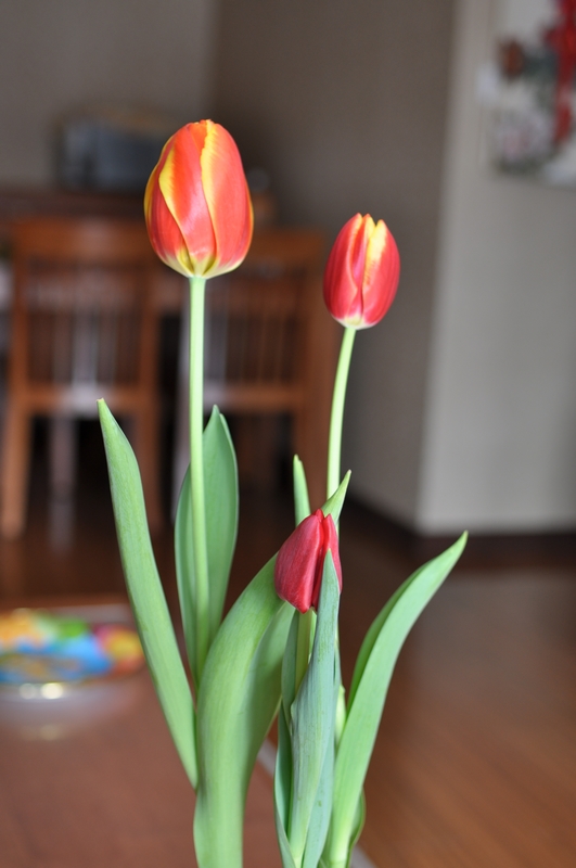 DSC_0175.JPG