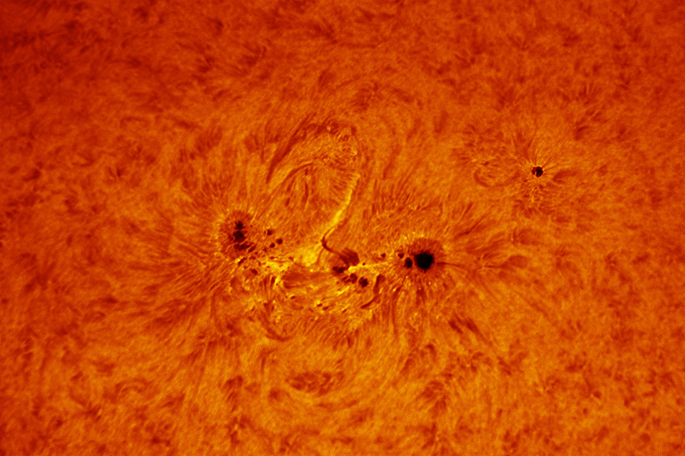 20110307AR1166.jpg
