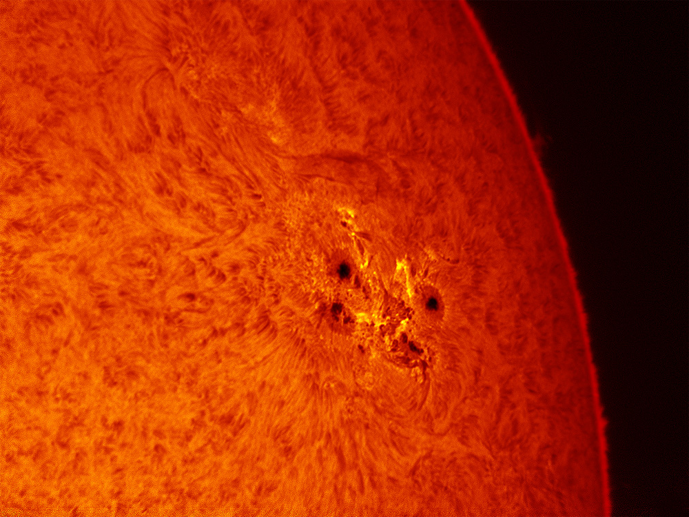 20110307AR1164.jpg