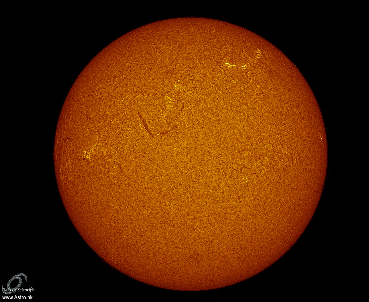 Sun0001_pp ver3.jpg