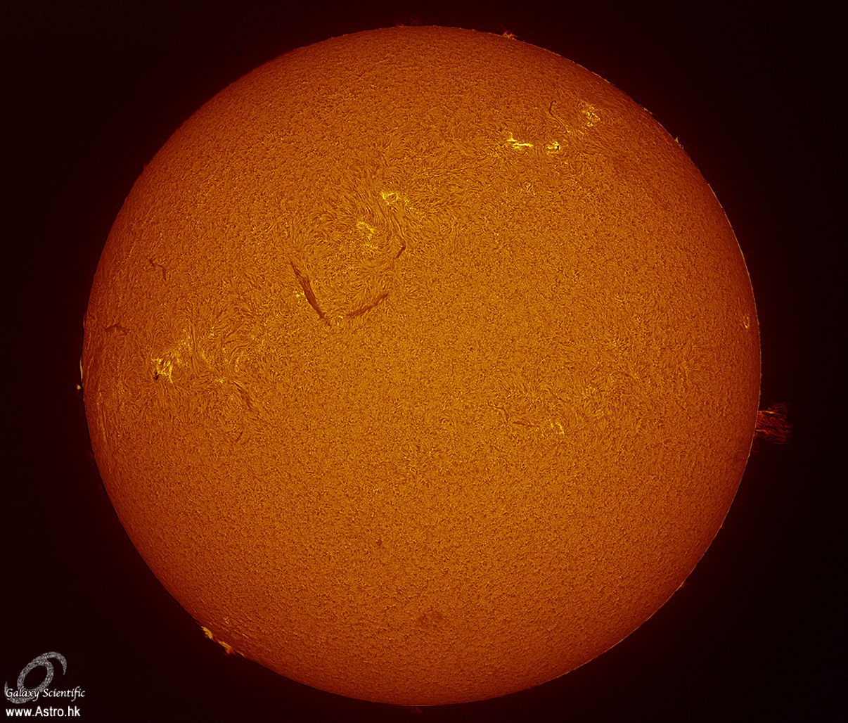Sun0002_pp ver1 merged.jpg