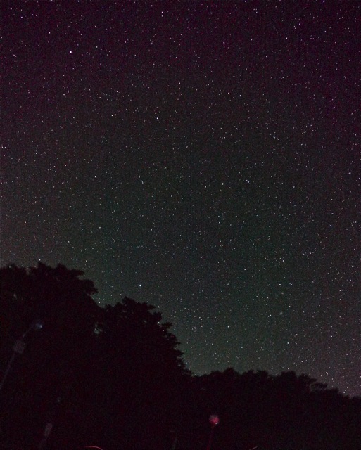 P1130145.jpg