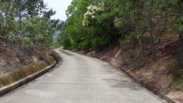 DSC00048.jpg
