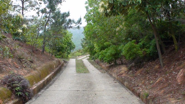 DSC00050.jpg