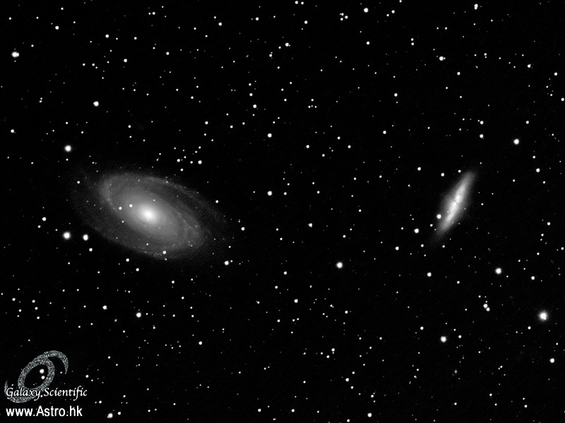 M81 crop.JPG