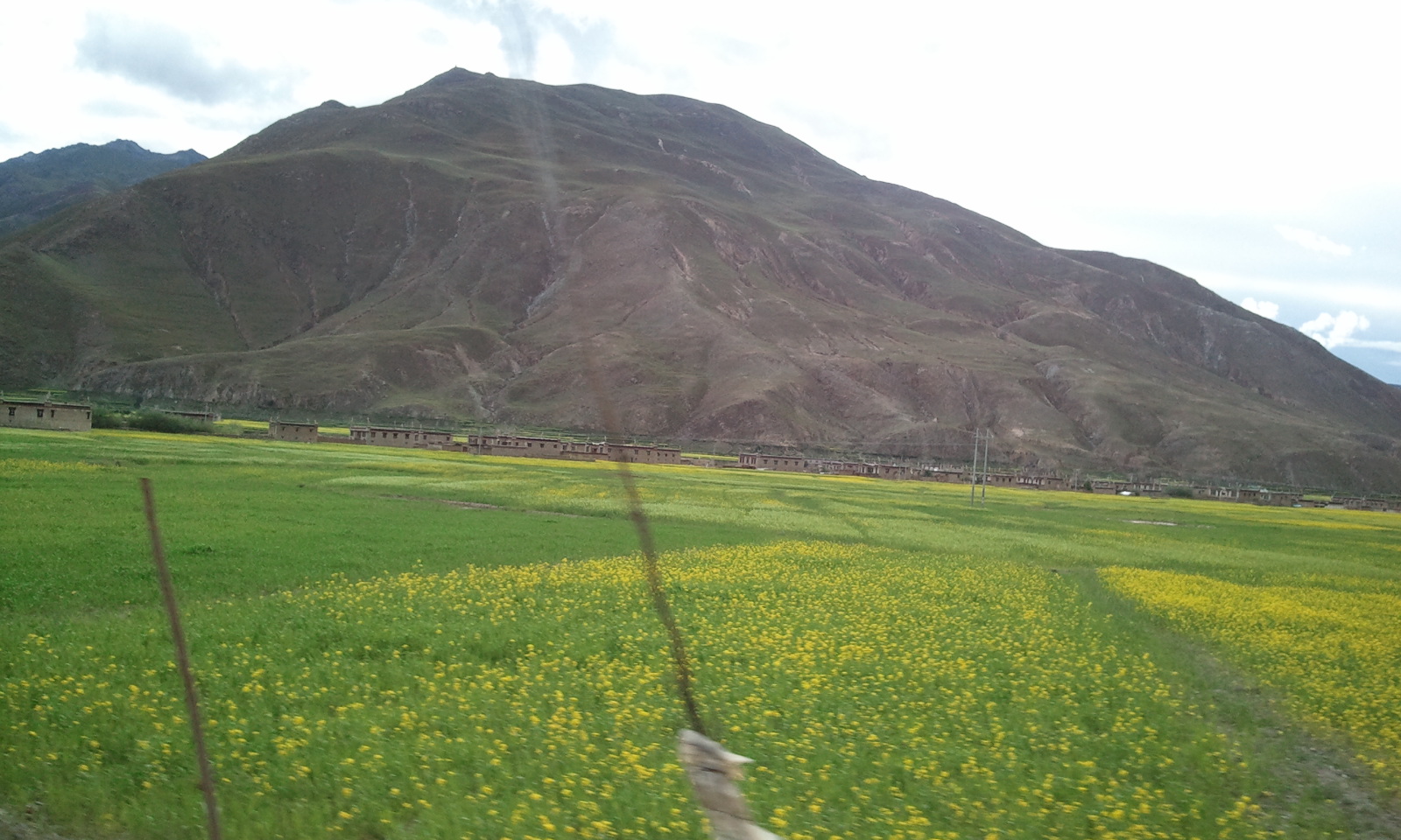 2011-07-28 18.54.32.jpg