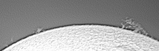 coronal20110818.jpg