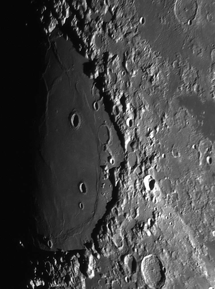 Proclus_20110816_1531.jpg