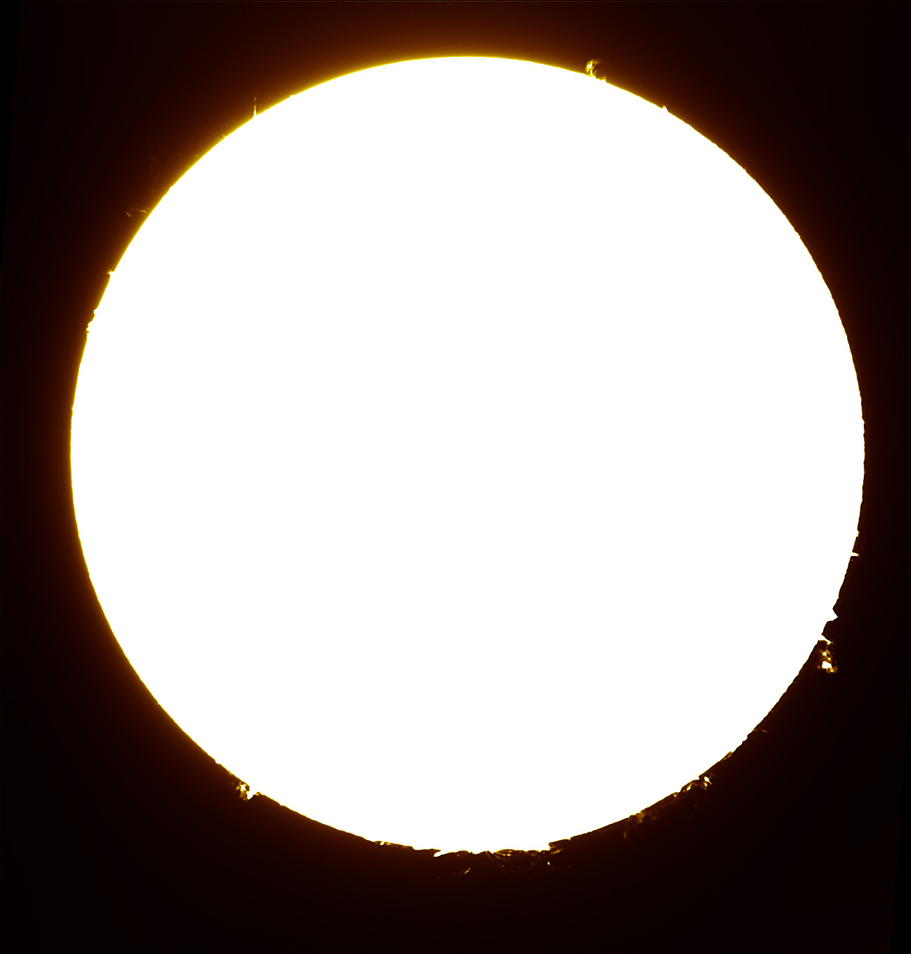 LS80T_DMK41_y8000006 11-11-01 12-57-01.jpg