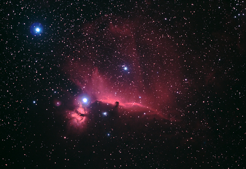 IC434--Mod  -- 800  IS800  5分鐘 八張  500mm F4.5+LVI.jpg