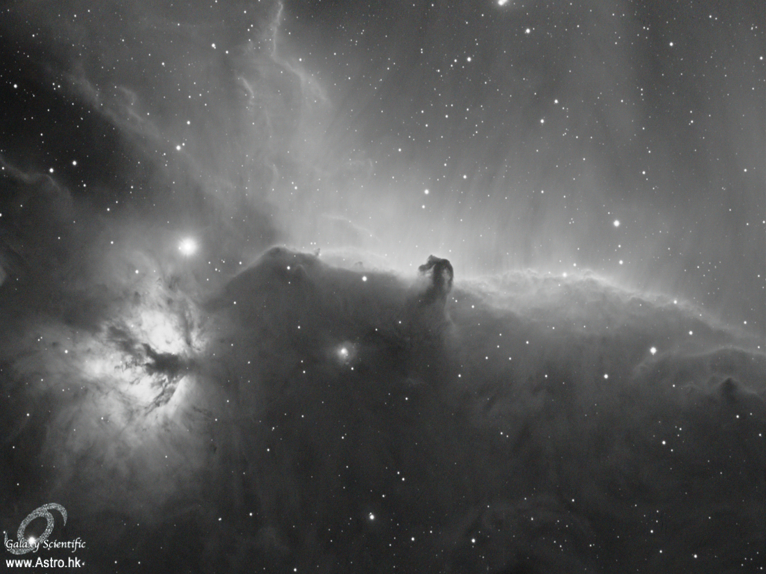 Horsehead Ha 30x900s ver1 resize.jpg