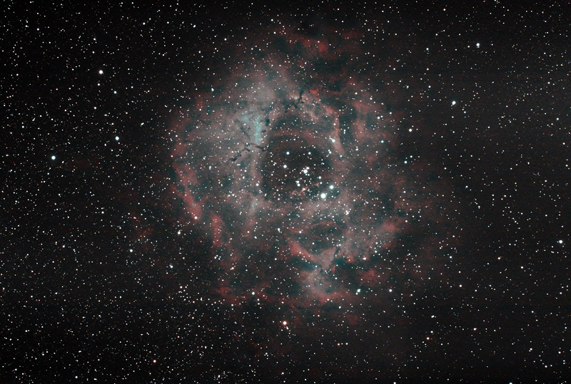 Rose 2hr45min30sec V4S1.jpg